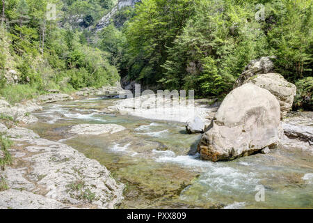 Die Wasserfälle und Stromschnellen in den Rio Bellos Canyon auf der Wald bedeckt Rocky Mountains in der Cañon de Añisclo Tal, in der Region Aragón, Spanien Stockfoto