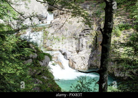 Die Wasserfälle und Stromschnellen in den Rio Bellos Canyon auf der Wald bedeckt Rocky Mountains in der Cañon de Añisclo Tal, in der Region Aragón, Spanien Stockfoto