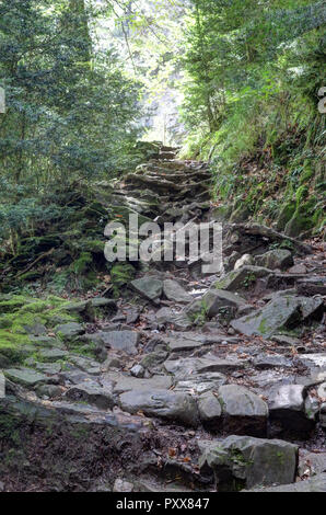 Ein Bergauf klettern Stein Pfad in den tiefen Wald der Añisclo Canyon, neben Bellos River, in den Pyrenäen Rocky Mountains in Aragon, Spanien Stockfoto