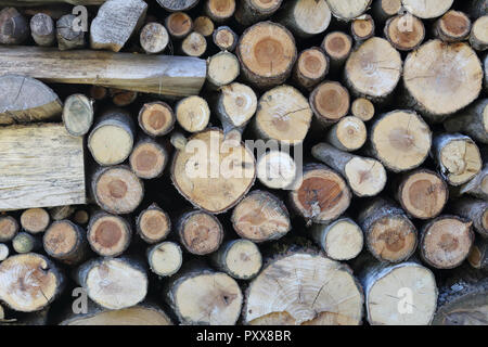 Eine Charge von angehäuft Gelb und Braun rund Brennholz schneiden in regelmäßigen Protokolle und im Holzschuppen gespeichert Stockfoto