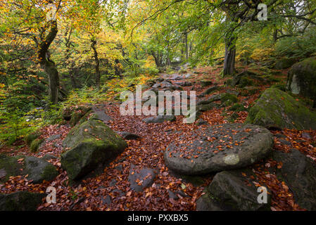 Alte Mühlstein in Laub neben dem Weg in Padley Schlucht, Peak District, Derbyshire, England. Eine herbstliche Szene. Stockfoto