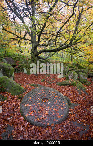 Alte Mühlstein in Laub neben dem Weg in Padley Schlucht, Peak District, Derbyshire, England. Eine herbstliche Szene. Stockfoto