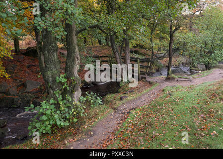 Holzsteg über Burbage Bach an padley Schlucht, Peak District, Derbyshire, England. Stockfoto