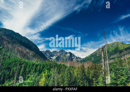 Blick vom Tal auf den Gipfel des hohen Berges mit tiefblauem Himmel oben. Stockfoto