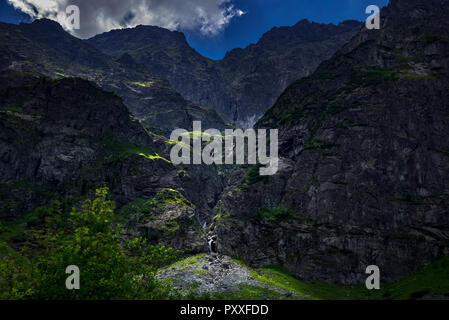 Blick auf die Mountain Creek nach unten fließt aus dem Berg. Stockfoto
