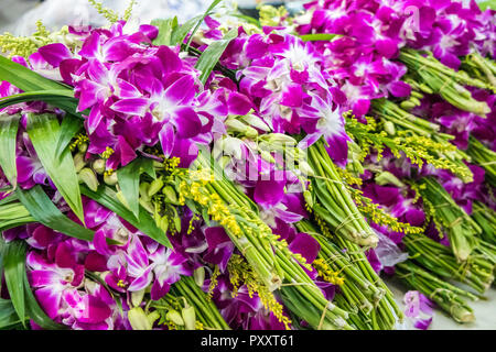 Blumensträuße lila Orchideen bei Pak Khlong Talad Blumenmarkt. Stockfoto