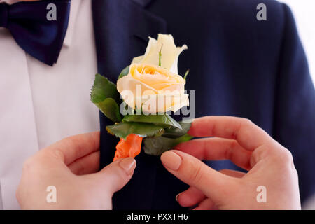 Braut pinning Die rosenanstecker auf Anzug Jacke von Hochzeit Bräutigam Stockfoto