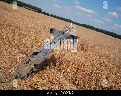 Vogelscheuche im Weizenfeld Stockfoto