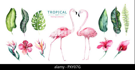 Hand gezeichnet Aquarell tropische Vögel von Flamingo. Exotische rose Vogel Illustrationen, Dschungel Baum, Brasilien trendy Art. Perfekt für Stoff Design. Aloha Kollektion. Stockfoto