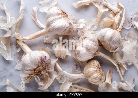Frische rohe organische Knoblauch flach auf einem weißen Marmor tisch. Stockfoto