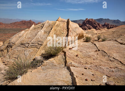 NV 00016-00 ... NEVADA-bunten Sandstein mit Verdichtung Bands zwischen den Schichten in der Fire Canyon Area der Valley of Fire State Park. Stockfoto