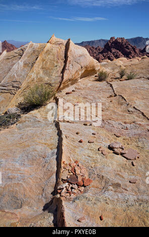 NV 00017-00 ... NEVADA-bunten Sandstein mit Verdichtung Bands zwischen den Schichten in der Fire Canyon Area der Valley of Fire State Park. Stockfoto