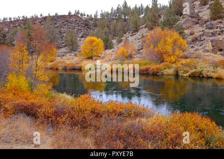 Weiden und Aspen Bäume biegen Sie Gold entlang der Ufer des Deschutes Riverin die Cascade Mountains in zentralen Oregon Mitte Oktober. Stockfoto