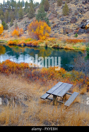 Weiden und Aspen Bäume biegen Sie Gold entlang der Ufer des Deschutes Riverin die Cascade Mountains in zentralen Oregon Mitte Oktober. Stockfoto