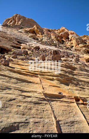 NV 00026-00 ... NEVADA - Bunte sandsone mit Verdichtung Bands, die in der Fire Canyon viewpoint Bereich der Schlucht von Fire State Park. Stockfoto