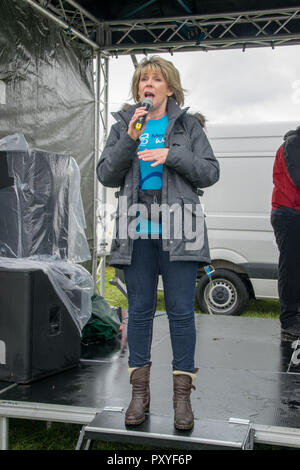 Ruth Langsford beginnt das Epsom Speicher mit Hilfe der Alzheimer Gesellschaft im Epsom Downs Racecourse Spaziergang auf einem nassen und windigen Tag. Ruth, dessen Vater starb im Jahr 2012 an der Krankheit, sagte: "Dies ist eine Ursache nah an meinem Herzen, weil ich meinen Vater Alzheimer verloren und ich weiß, wie verheerend die Bedingung ist für diejenigen bestimmt und ihre Familien. Ich bin zu Fuß in liebevoller Erinnerung an meinen Papa, den ich jeden Tag vermissen." Sie fügte hinzu: "Ich bin so glücklich in der epsom Speicher zu nehmen Zu Fuß für Alzheimer Gesellschaft" Mit: Ruth Langsford Wo: Epsom, Großbritannien Wann: 23 Sep 2018 Credit: Paul Taylor/WANN Stockfoto