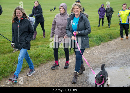 Ruth Langsford beginnt das Epsom Speicher mit Hilfe der Alzheimer Gesellschaft im Epsom Downs Racecourse Spaziergang auf einem nassen und windigen Tag. Ruth, dessen Vater starb im Jahr 2012 an der Krankheit, sagte: "Dies ist eine Ursache nah an meinem Herzen, weil ich meinen Vater Alzheimer verloren und ich weiß, wie verheerend die Bedingung ist für diejenigen bestimmt und ihre Familien. Ich bin zu Fuß in liebevoller Erinnerung an meinen Papa, den ich jeden Tag vermissen." Sie fügte hinzu: "Ich bin so glücklich in der epsom Speicher zu nehmen Zu Fuß für Alzheimer Gesellschaft" Mit: Ruth Langsford Wo: Epsom, Großbritannien Wann: 23 Sep 2018 Credit: Paul Taylor/WANN Stockfoto