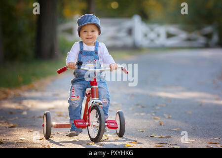 Süße toddler Boy, Reitschule Dreirad im Park auf Sonnenuntergang, Herbst, Geschwister im Park, genießen warnen Herbst Tag Stockfoto