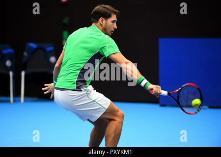 St. Jakobshalle, Basel, Schweiz. 24 Okt, 2018. ATP World Tour, Schweizer Hallenbad Tennis; Dusan Lajovic (SRB), die in Aktion gegen Adrian Mannarino (FRA) in der ersten Runde der Credit: Aktion plus Sport/Alamy leben Nachrichten Stockfoto