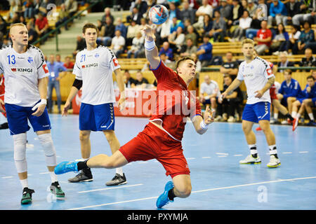 Pilsen, Tschechische Republik. 24 Okt, 2018. Stepan Zeman (CZE), die in Aktion bei der näheren Bestimmung der Europäischen Männer Handball Meisterschaft der Tschechischen Republik vs Finnland in Pilsen, Tschechische Republik, 24. Oktober 2018. Credit: Miroslav Chaloupka/CTK Photo/Alamy leben Nachrichten Stockfoto