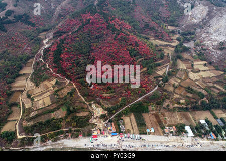 Weifang, Weifang, China. 25 Okt, 2018. Weifang, CHINA - Luftaufnahmen von cotinus Coggygria in Weifang, Provinz Shandong im Osten Chinas. Credit: SIPA Asien/ZUMA Draht/Alamy leben Nachrichten Stockfoto