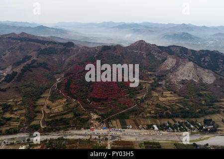 Weifang, Weifang, China. 25 Okt, 2018. Weifang, CHINA - Luftaufnahmen von cotinus Coggygria in Weifang, Provinz Shandong im Osten Chinas. Credit: SIPA Asien/ZUMA Draht/Alamy leben Nachrichten Stockfoto