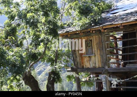 Eine typische Deutschsprachigen Walser Lodge, aus Stein mit Brett geschützt Holzbalkons, im Sommer, im Val d'Otro Tal, Alpen, Italien Stockfoto