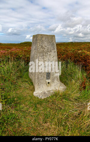 Eine Ordnance Survey Triangulation Punkt oder Trig Point auf Ballowall gemeinsamen, in der Nähe von St. Just in Cornwall, England, Großbritannien. Stockfoto