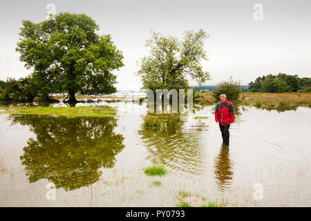 Ein Mann das Waten durch Hochwasser an der Kante des Lake Windermere in Ambleside, Lake District mit dem See auf dem höchsten Niveau seit dem November 2009 Überschwemmungen. Dies ist ziemlich ironisch wie die North West ist noch in einen Schlauch zu verbieten. Stockfoto