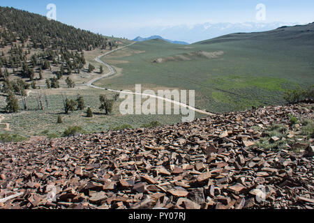 Red oceanic Felsen mit Blick auf die Weißen Berge in Kalifornien, von den Alten Bristlecone Pine Forest Stockfoto