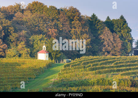 Zavrc: Weinberg, Weinbaugebiet, Hügel, Kapelle in Haloze, Stajerska (Steiermark), Slowenien Stockfoto