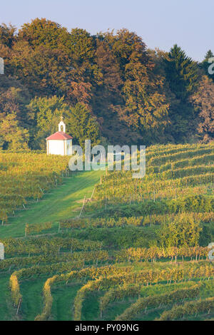 Zavrc: Weinberg, Weinbaugebiet, Hügel, Kapelle in Haloze, Stajerska (Steiermark), Slowenien Stockfoto