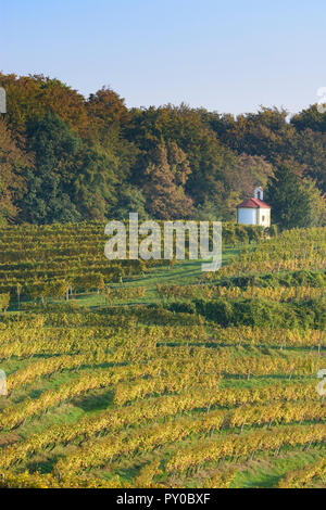 Zavrc: Weinberg, Weinbaugebiet, Hügel, Kapelle in Haloze, Stajerska (Steiermark), Slowenien Stockfoto