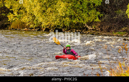 RIVER SPEY SCHOTTLAND IM HERBST ROTE DOLCH KAJAK IN WHITE WATER Stockfoto