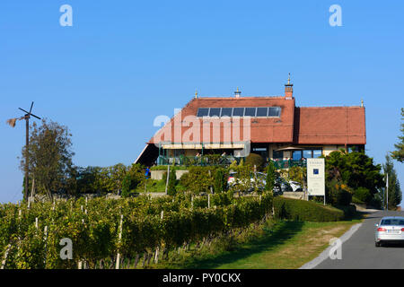 Svetinje: Wein Bar - Restaurant "Taverna", Weinberg, Klapotetz (Klopotec) in Jeruzalem - Ormoz Hills Nature Park, Stajerska (Steiermark), Slowenien Stockfoto