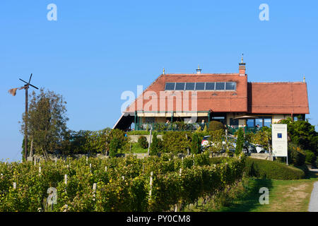 Svetinje: Wein Bar - Restaurant "Taverna", Weinberg, Klapotetz (Klopotec) in Jeruzalem - Ormoz Hills Nature Park, Stajerska (Steiermark), Slowenien Stockfoto