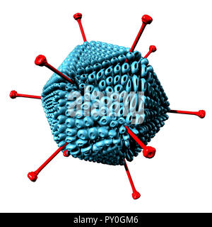 Adenovirus als atemwegserkrankungen als Virus Infektion Krankheit verursacht hohes Fieber als mikroskopischen molekularen-Konzept. Stockfoto