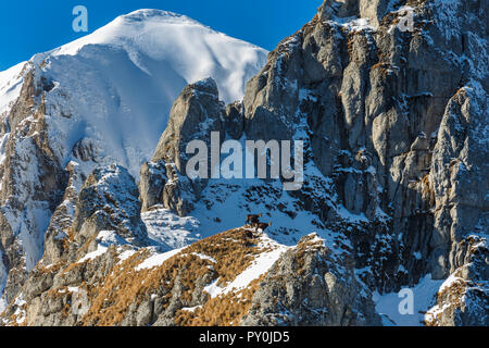 Gämsen auf einem Bergrücken der Bucegi Bergen im Winter, mit hohen Felsen im Hintergrund, Rumänien Stockfoto