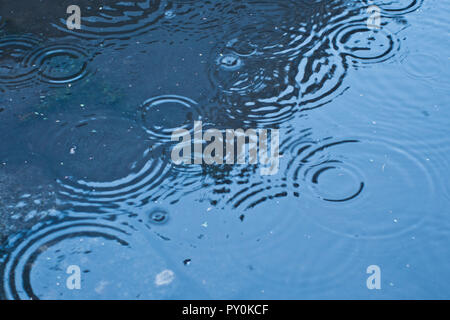 Tropfen Regen fallen in einen Pool mit Wasser, Wellen Stockfoto