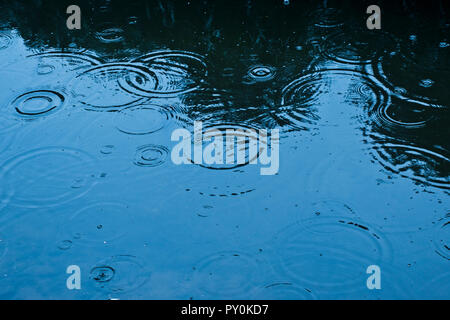 Tropfen Regen fallen in einen Pool mit Wasser, Wellen Stockfoto