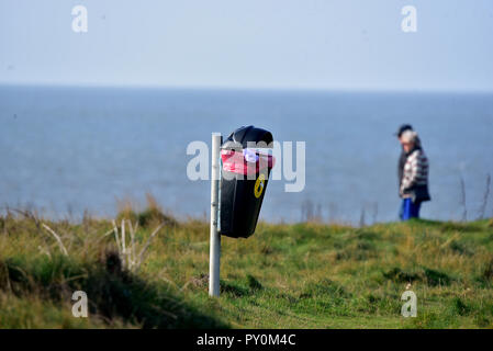 Bilder in Ruhe genommen Bay, Porthcawl, Bridgend County, South Wales. Herbst 2018. Sie zeigen ein Metall und ein Detectorist Hundekot Abfallbehälter Stockfoto
