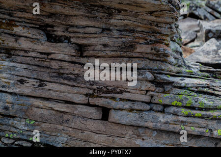 Sedimente der verschiedenen alten Umgebungen nehmen Millionen von Jahren in die geschichtete Ebenen lithify wir in den Rocky Mountains sehen. Stockfoto