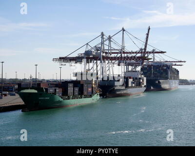 AJAXNETPHOTO. 2018. DUNKERQUE, Frankreich. - Versand Fracht - Küsten und Meer gehen CONTAINERSCHIFFE LADEN AM TERMINAL DE FLANDRE. Foto: Jonathan Eastland/AJAX REF: GX8 182009 871 Stockfoto