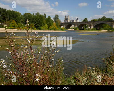 AJAXNETPHOTO. ORLEANS, Frankreich. - TURNER malte hier - BLICK VON SÜDEN ÜBER DEN FLUSS LOIRE AUS DER ALTEN QUAI NEUF ETWA AUS DEM ENGLISCHEN Künstler Joseph Mallord William Turner (1775-1851) skizziert BLICK AUF DIE GEORGE V BRÜCKE UND SAINTE-CROIX KATHEDRALE AUF SEINER TOUR 1826 AN DER LOIRE. Foto: Jonathan Eastland/AJAX REF: GX8 182009 487 Stockfoto