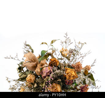 Getrocknete Blumen isoliert auf weißem Hintergrund Stockfoto