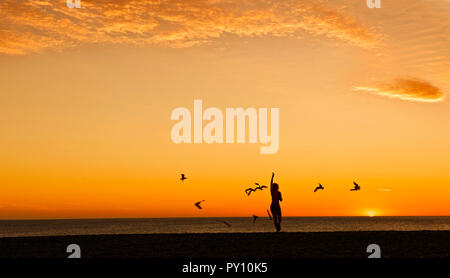 Silhouette einer Frau füttern Möwen am Strand bei Sonnenuntergang, Neuseeland Stockfoto