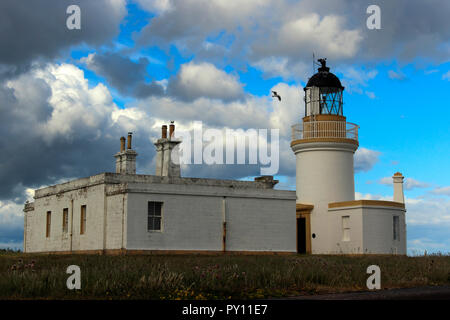 Chanonry Point, Leuchtturm, Black Isle, Scottish Highlands, Schottland, UK Stockfoto