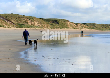 Man Walking Hunde am Strand, Dunnett Bay, Scottish Highlands, Schottland, UK Stockfoto