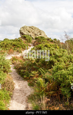 Agglestone Rock, in der Nähe von North, South Dorset Stockfoto