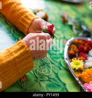 Die Hände eines jungen Devotee, der eine Blume Halskette zu ihren Gurur anbieten zu errichten. Zwischen den Blumen gibt es grüne Blätter als Schönheit Stockfoto